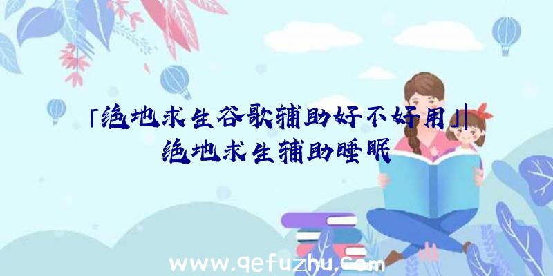 「绝地求生谷歌辅助好不好用」|绝地求生辅助睡眠